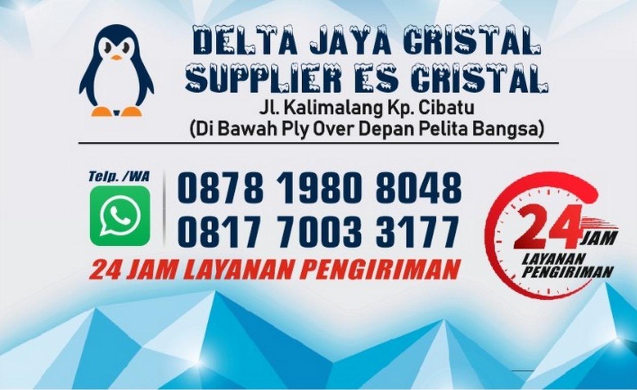 profildjc